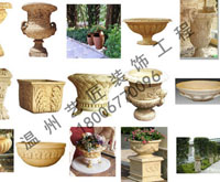 各式各樣的花缽